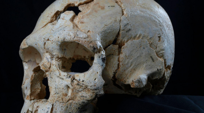 World’s Oldest Murder Mystery Was 430,000 Years in the Making