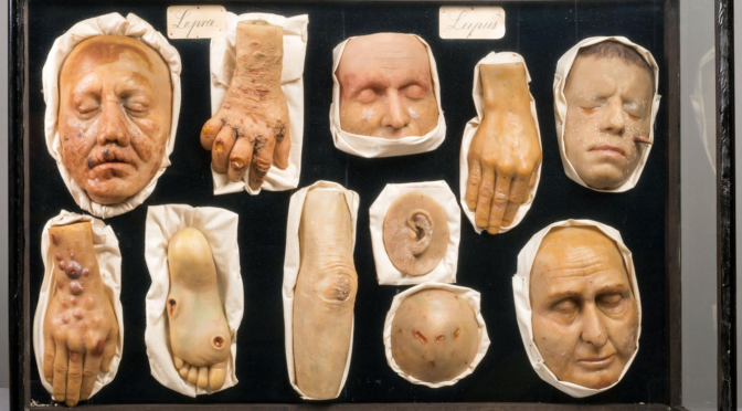 Inside the Creepy Collections of an Oddities Museum